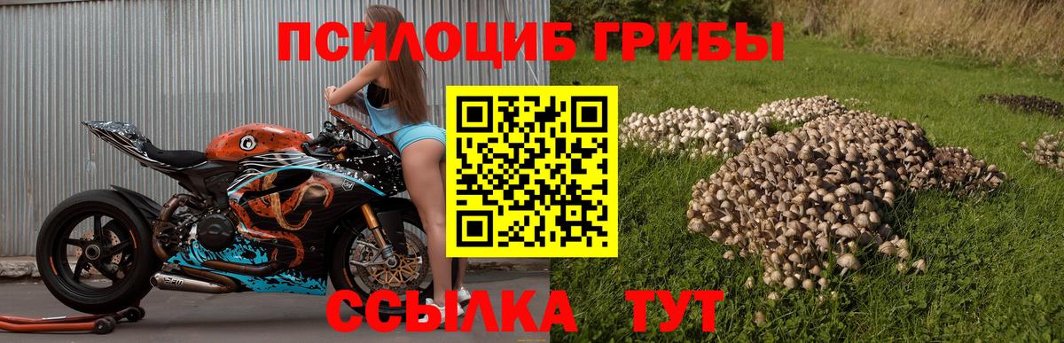Анапа  Галлюциногенные грибы ЛСД  Галлюциногенные грибы ЛСД  Вход с VPN 